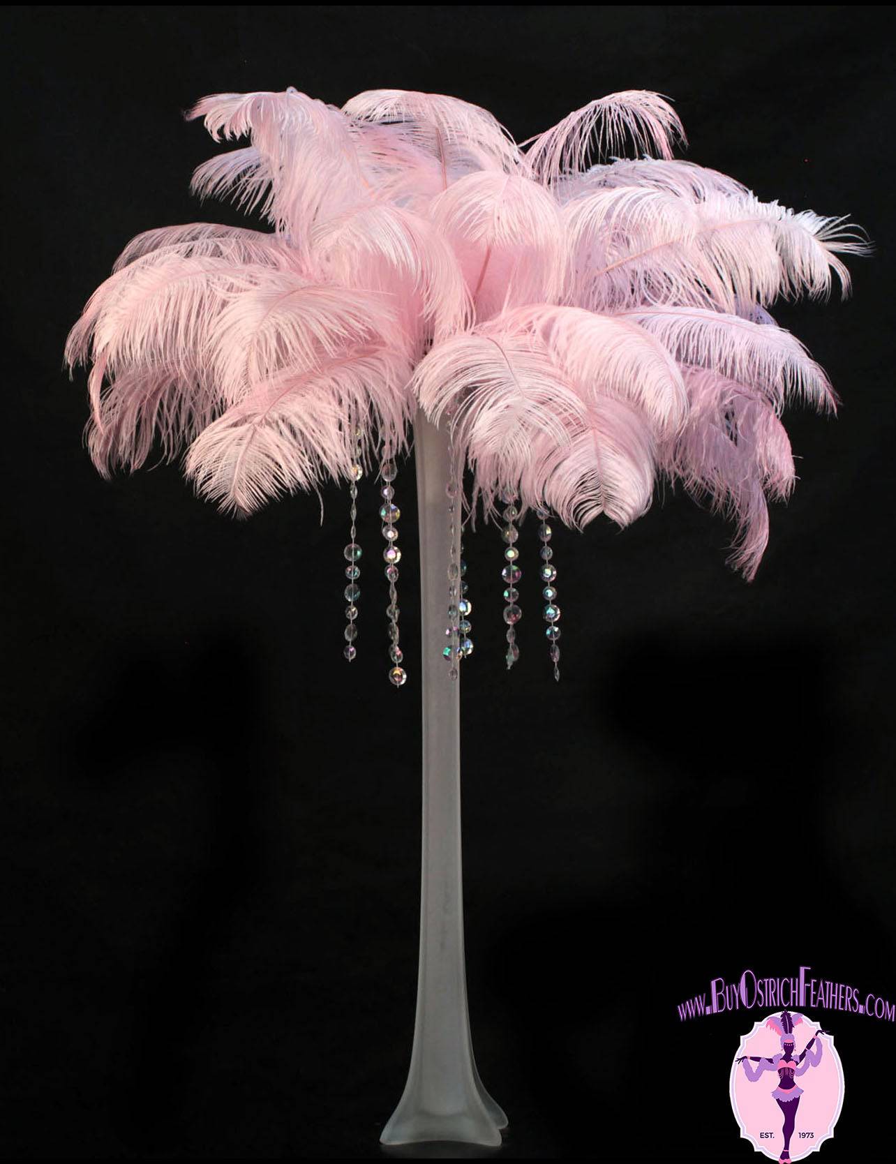 Ostrich Feather Tail Plumes 15-18 (Baby Pink)